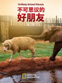 ����˼��ĺ����ѵڶ���