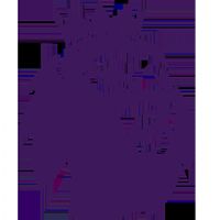 Ӣ������ ɣ����VS������20260203