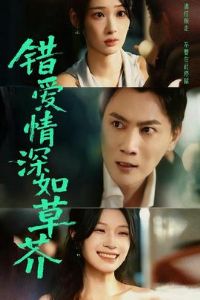 ����������ݽ�