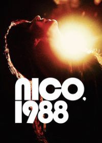 1988����ݿ�