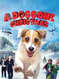 ����ʥ����