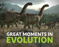 �����������¼�